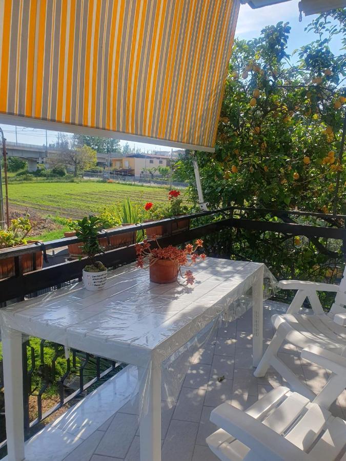 Bed and Breakfast Ospitalita Il Noce Brusciano Zewnętrze zdjęcie