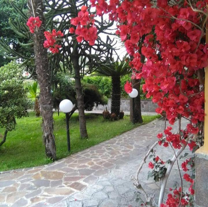 Bed and Breakfast Ospitalita Il Noce Brusciano Zewnętrze zdjęcie