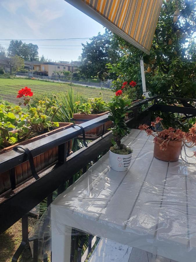 Bed and Breakfast Ospitalita Il Noce Brusciano Zewnętrze zdjęcie